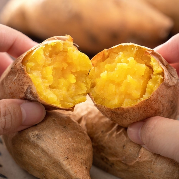 [베네팜] 해남 세척 호박고구마 3kg/5kg (한입/중상/특상)