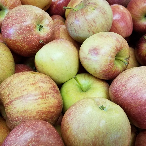 [향기담은] 경북 고당도 꿀부사 2kg/3kg/5kg (미색)