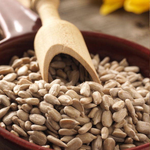 [굿모닝너츠] 해바라기씨 (1kg/2kg/3kg/4kg/5kg)