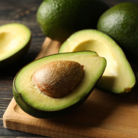 [베네팜] 프리미엄 생 아보카도 10과/15과/20과