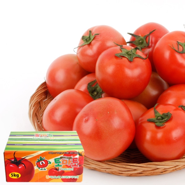 [농협공판장] 정성드린 완숙토마토 5kg(특3-4번과)