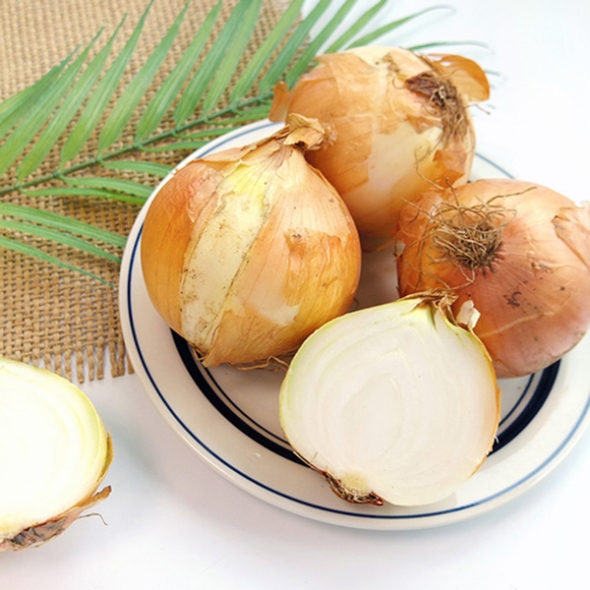 [가락시장] 당일경매 국내산 햇 양파 3Kg/5Kg