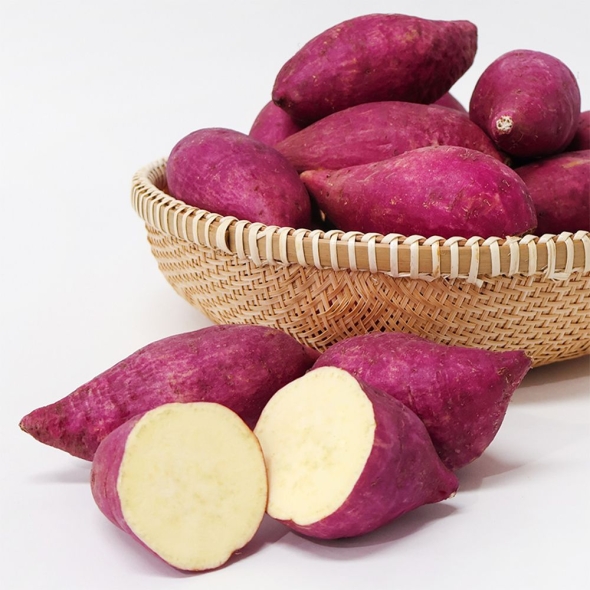 [가락시장] 당일경매 세척 밤고구마 2Kg/3Kg/5Kg (크기선택)