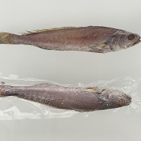 국내산 반건조 통민어 31cm 이상 국내산천일염 / 전남여수