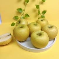 (정품) 시나노골드 사과 중대과 로얄사이즈 (일반포장) 아삭 단단 시나노 3kg / 5kg