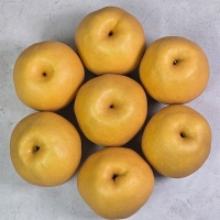 아삭하고 시원한 나주배