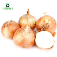 [농협공판장] 정성드린 양파 3kg/5kg(특)
