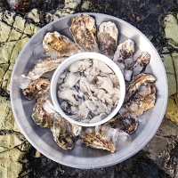  [신한카드 할인] 신선함을 그대로  통영 생굴(푸)