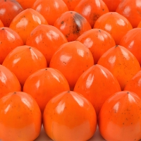 [김장철] 달콤하고 부드러운 과육가득 청도반시(푸)