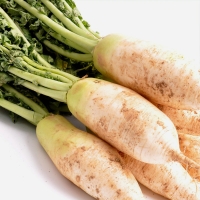 [농협] 한아름드린 신선 김장 다발무 8kg(특/6-8내외)