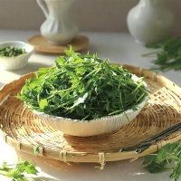 [농협] 한아름드린 제철미각 수경 미나리 1kg/2kg/4kg(특)