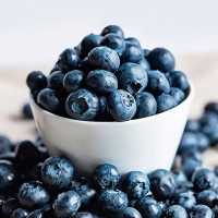 [웰루츠] 국내산_무농약 냉동 블루베리 500g×2ea