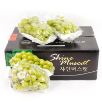 [과일예찬] 탐나는 김천 샤인머스캣세트 2kg(특3수)