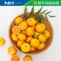 [제주감귤농협/당도선별] 고당도_불로초 [1.5kg-3kg]