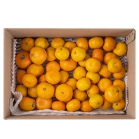 [감귤최고] 타이벡 감귤 4.5kg 가정용 실속형