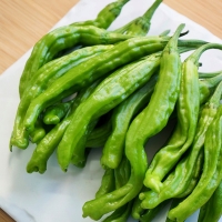 [농협] 한아름드린 신선 꽈리고추 1kg/2kg/3kg/4kg(특)