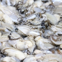 [力] 산지직송 최상급 통영 깐 굴 2kg  3kg 버블세척 추천