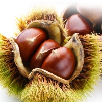 [자연속애] 충남부여 햇 알밤 1kg/2kg/3kg/5kg(특)