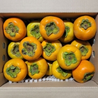 [제철_햇단감] 아삭아삭 달콤한 햇단감 [1kg-5kg]