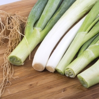 [농협] 한아름드린 신선 대파 2kg/4kg(특)