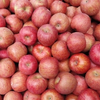 아삭아삭 달~콤한 가정용 부사사과(푸)