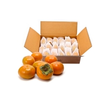  [만원의 행복] 아삭아삭  유명산지  경남 단감  중/대  (2kg/3kg)