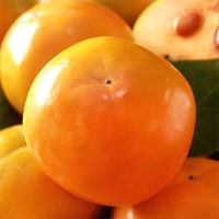 [신한카드 할인]  달콤 아삭한  고당도 단감(푸)