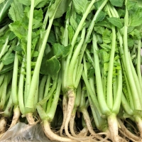 [농협] 한아름드린 신선 열무 4kg(특)