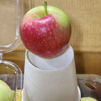 [신한카드 할인]  아삭하고 상큼한맛  미니사과 루비에스  