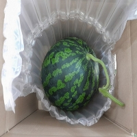 갑봉이네 산지직송 유명산지 고당도 수박 사이즈별