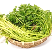 [농협] 한아름드린 제철미각 수경 미나리 1kg/2kg/4kg(특)