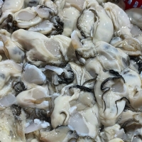  [만원의 행복] 산지직송 최상급 통영 깐 굴 1kg  버블세척 