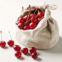 프리미엄 생체리(푸)