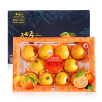 [농협공판장] 정성드린 제주 황금향 3kg(11-15과)