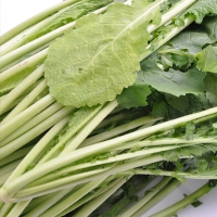 [농협] 한아름드린 신선 청갓 4kg/8kg(특)