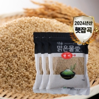 [대숲맑은물애] 24년산 영양 쌀 현미 1kg~5kg