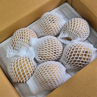 아삭하고 시원한 나주배