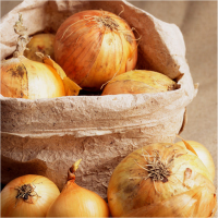 [김장철] [무안직송] 달큰 아삭 양파 3kg 5kg 소 중대 사이즈 흰양파