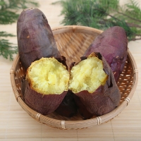 [신한카드 할인]  해남 밤고구마 (진율미)