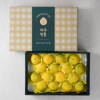 [제주도 산지직송] 한라봉 과  천혜향의  조하  황금향 (2kg/3kg/5kg/10kg)
