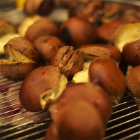 부여 햇밤(푸)