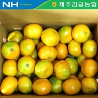 [만원의 행복] [제주감귤농협] 노지감귤 [2.5kg-4.5kg]