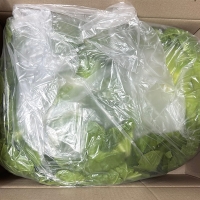 [주말특가] 고소하고  달큰한  봄동