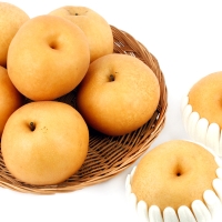 [농협공판장] 정성드린 신고배 15kg(21-30과내)