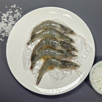 [새우캄스] 흰다리 새우 활새우 1kg 2kg 3kg