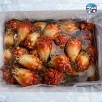 생산자 직판 통영 활멍게 10kg [ 업소용 벌크] 냉동 깐 멍게 800g x 5팩,12팩,17팩 [업소용]