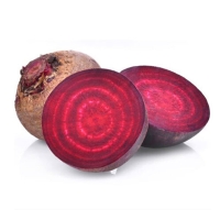 [레드비트] 제철_레드비트 [1kg-4kg/특상]