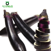 [농협] 한아름드린 제철미각 가지 1kg/2kg/5kg (특)