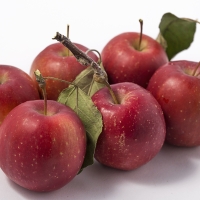 [신한카드 할인] 국내산 프리미엄 루비에스 사과(푸)