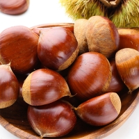 [자연속애] 충남부여 햇 알밤 1kg/2kg/3kg/5kg(특)